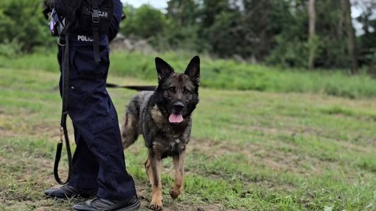 8-latek i 5-latka zniknęli z placu zabaw. Policja ruszyła na poszukiwania!