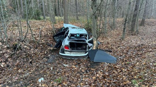 Wypadł z drogi i uderzył w drzewo