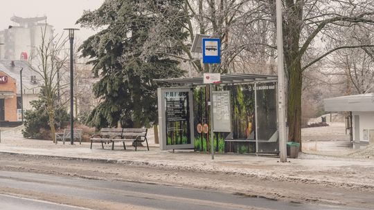 Autobusy znów ruszają