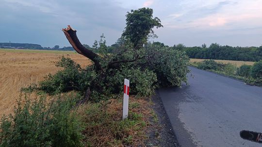 Burze nad powiatem głogowskim. Strażacy ruszyli do wielu interwencji