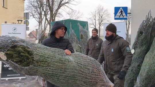 CHOINKA ZA KREW. ŚWIĄTECZNA AKCJA W RCKIK W GŁOGOWIE
