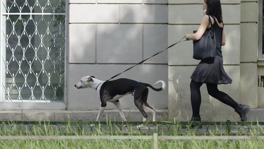 Ciekawe stylizacje ze spódnicami w roli głównej