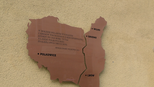 CO Z TYMI IMIGRANTAMI?