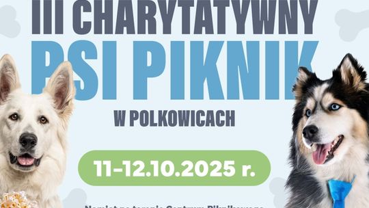 „Coś” specjalnego dla miłośników psów