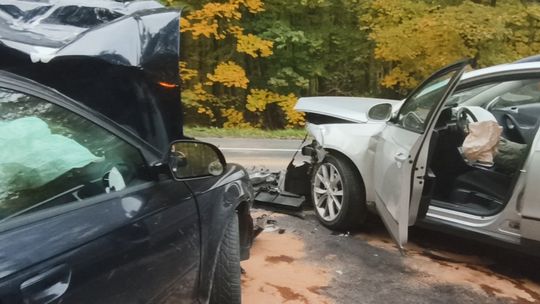 Czołówka między Bądzowem a Jerzmanową. Winne dziki!