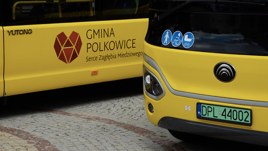 (EKO)LOGICZNY TRANSPORT W POLKOWICACH