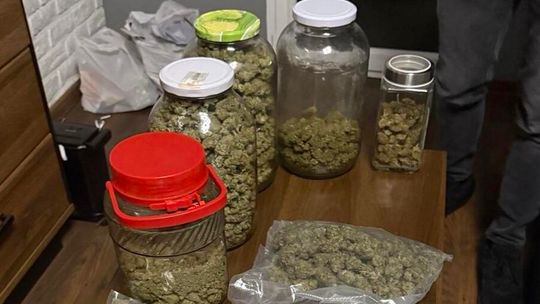 Głogów: 1,5 kg marihuany i tysiące porcji narkotyków