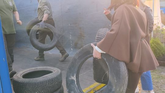 Głogów: „Oponka za sadzonkę” wraca. Będzie dodatkowy termin