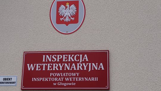 Głogów: Pamiętaj o szczepieniu psa! Za brak grozi mandat
