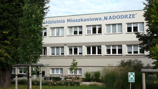 Głogów: Prokuratura umorzyła postępowanie ws. terenów zielonych SM Nadodrze