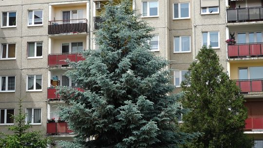 Głogów: SM Nadodrze kończy termomodernizację – 70 budynków do ocieplenia