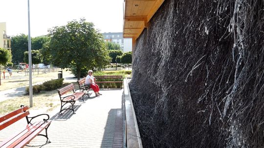 GŁOGOWIANIE SKARŻĄ SIĘ, ŻE TĘŻNIA NIE DZIAŁA