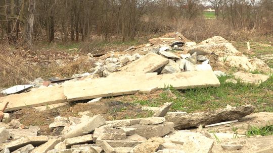 GŁOGOWIANKA ZBULWERSOWANA: W BIAŁY DZIEŃ PRZY RUCHLIWEJ DRODZE!