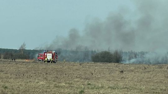 GROŹNY POŻAR W OKOLICACH SERBÓW
