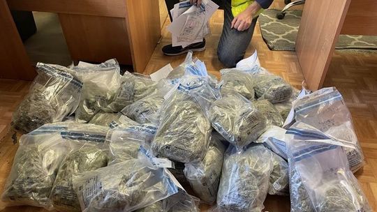 Hurtowy handel narkotykami