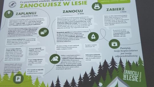Jak bezpiecznie wypoczywać w lesie? Porady od Nadleśnictwa Głogów