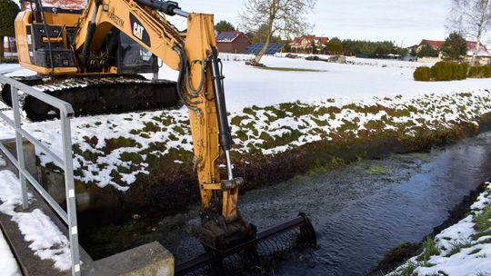 Kalina w Sobinie oczyszczona