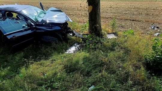 Kierująca uderzyła w drzewo. Groźne zdarzenie w Grębocicach