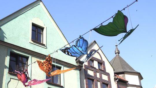 KILKA KOLOROWYCH MOTYLI ZWIĘKSZY ATRAKCYJNOŚĆ STAREGO MIASTA?