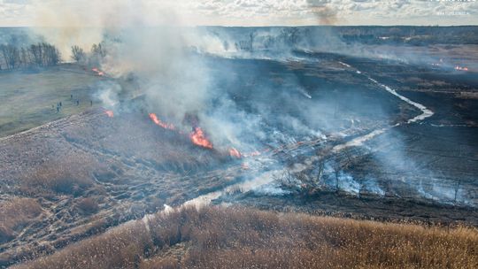 Kilkumetrowe płomienie ognia w Chocianowie