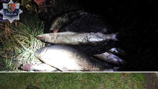 Kłusownicy wpadli w ręce policji Kłusownicy wpadli w ręce policji