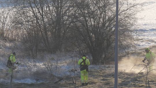KOSILI TRAWĘ W ŚNIEGU?