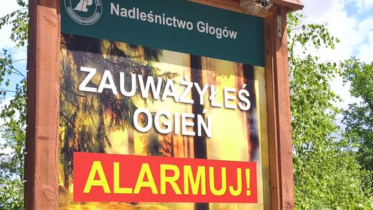 Lasy pod stałą obserwacją. W Nadleśnictwie Głogów obowiązuje średnie zagrożenie pożarowe