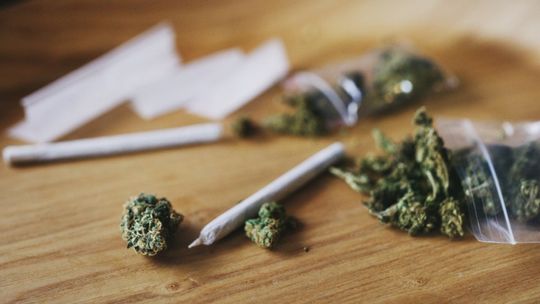 Legalizacja marihuany w Polsce? Do Sejmu trafił projekt ustawy