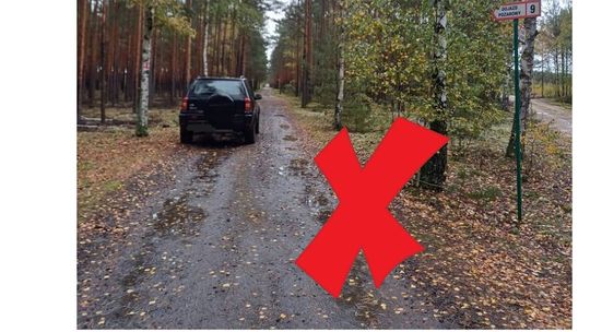 Leśnicy ostrzegają: źle zaparkujesz, zapłacisz nawet 5000 zł