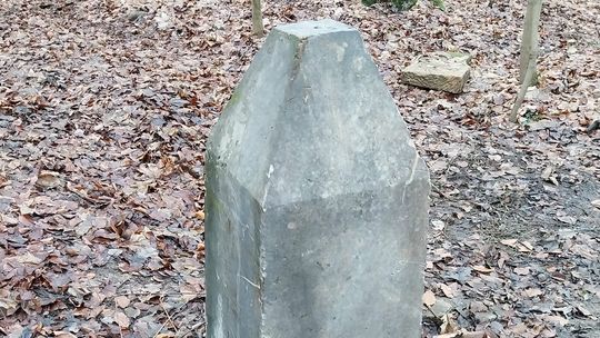 Magia internetu zadziałała. GROT odzyskał fragment pomnika w Dalkowie