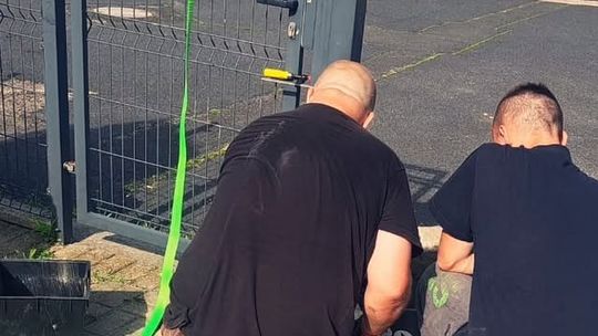 Malują, naprawiają i koszą. Osadzeni pomagają w domu dziecka