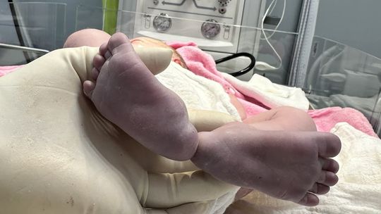 Marzec na porodówce w Głogowie. Ilu chłopców, ile dziewczynek?