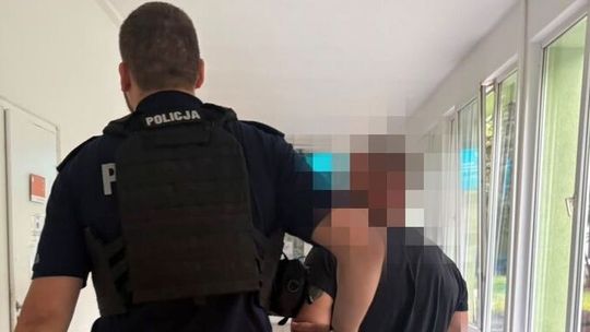 Metamfetamina, amfetamina i benzodiazepiny w organizmie kierowcy
