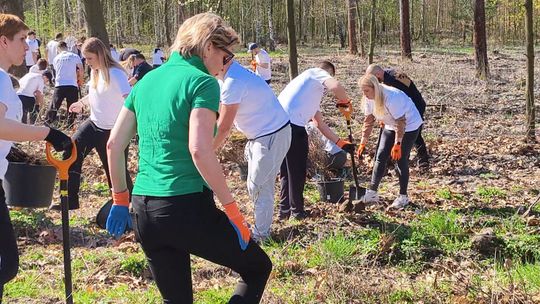 Miedziowy Kurier: sadzenie lasu i otwarcie KGHM LAB w legnickim liceum
