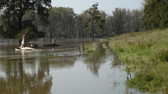 Modernizacja wału P1 coraz bliżej. Zyska Głogów i okoliczne gminy