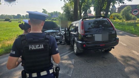 Niebezpieczne zdarzenie w Jędrzychowie. Policja apeluje o ostrożność