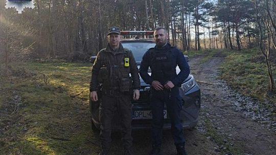 Nielegalna wycinka pod lupą służb