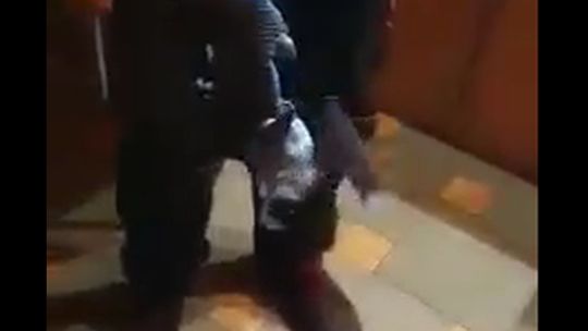 NIESPODZIEWANY GOŚĆ W GAZÓWCE