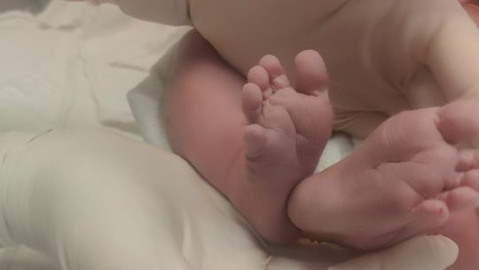 Nowe życie w Głogowie. Tak wyglądał rok 2025 na Oddziale Położniczym