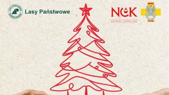 Oddaj krew 17 grudnia i odbierz naturalną choinkę z lasu