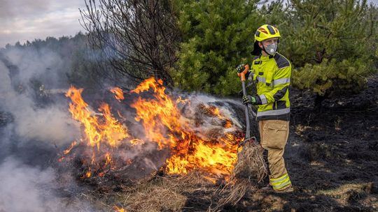 Ogień dotarł do lasu. Strażacy walczyli pod Polkowicami