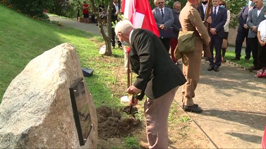 PAMIĘCI POMORDOWANYCH KAPELANÓW. Zasadzono dąb ku czci zabitych duchownych.    