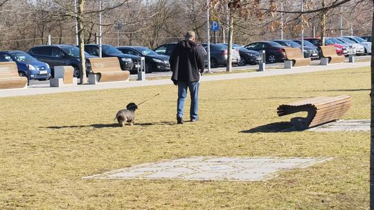 PIERWSZE PRZEBŁYSKI WIOSNY ODSŁONIŁY GÓWNIANY PROBLEM