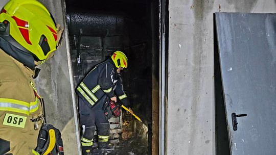 Pies uratował dom w Grębocicach