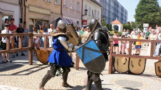 POLKOWICE ZAPRASZAJĄ NA JARMARK ŚW. SEBASTIANA