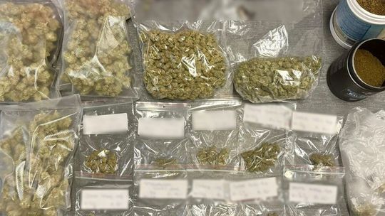 Ponad 720 gramów marihuany w mieszkaniu mieszkańca Głogowa