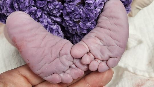 Porodówka w Głogowie: 37 nowych mieszkańców miasta