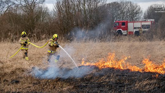Pożar nieużytków. Spłonęły 4 hektary