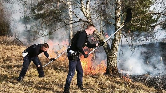 Pożar ścierniska w Polkowicach. Szybka akcja służb