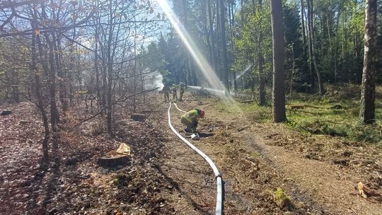 Pożar w scenariuszu, bezpieczeństwo w realu. Ćwiczenia w lasach pod Głogowie